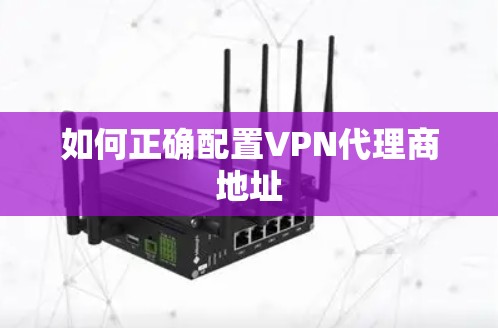 如何正确配置VPN代理商地址