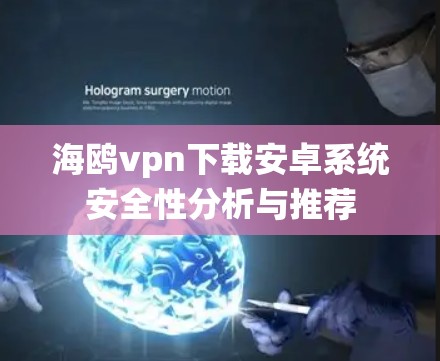 海鸥vpn下载安卓系统安全性分析与推荐