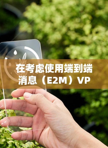在考虑使用端到端消息（E2M）VPN时，以下是一些关键点的总结