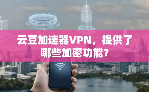 云豆加速器VPN，提供了哪些加密功能？