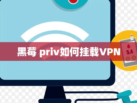 黑莓 priv如何挂载VPN