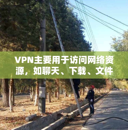 VPN主要用于访问网络资源，如聊天、下载、文件存储等。如果您想检查自己的账户信息，可能需要通过以下方式进行