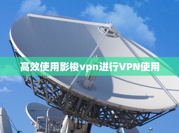 高效使用影梭vpn进行VPN使用