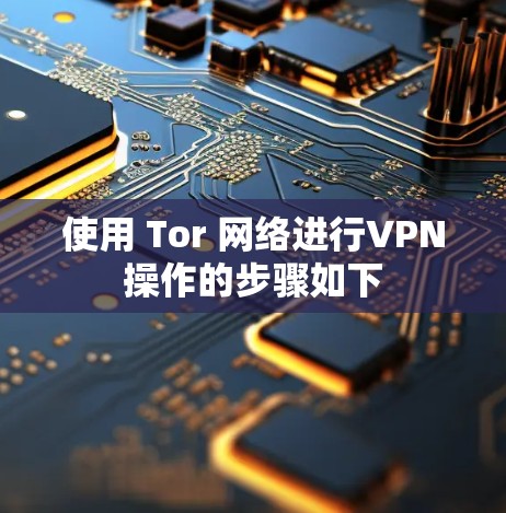 使用 Tor 网络进行VPN操作的步骤如下