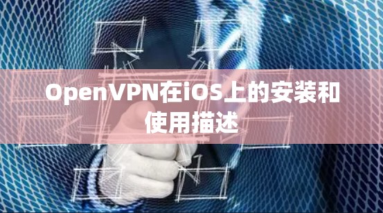 OpenVPN在iOS上的安装和使用描述