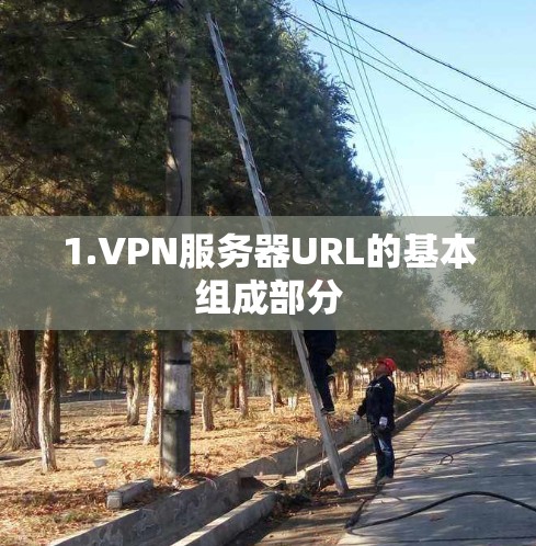 1.VPN服务器URL的基本组成部分