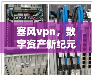塞风vpn，数字资产新纪元的未来
