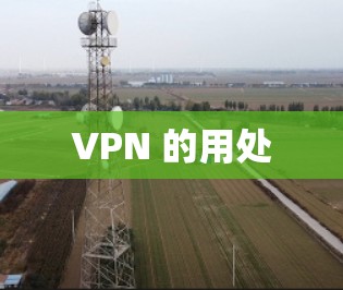 VPN 的用处