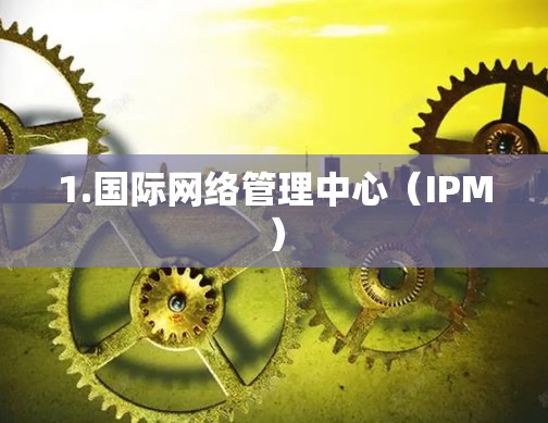 1.国际网络管理中心（IPM）