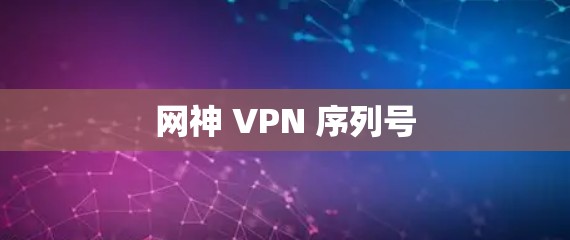 网神 VPN 序列号