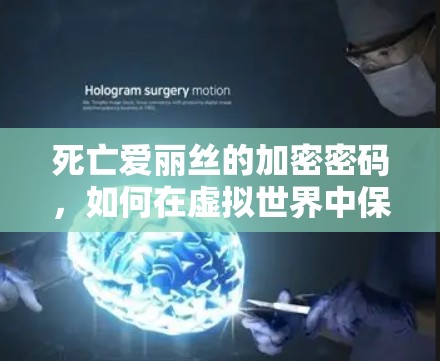 死亡爱丽丝的加密密码，如何在虚拟世界中保持安全与自由