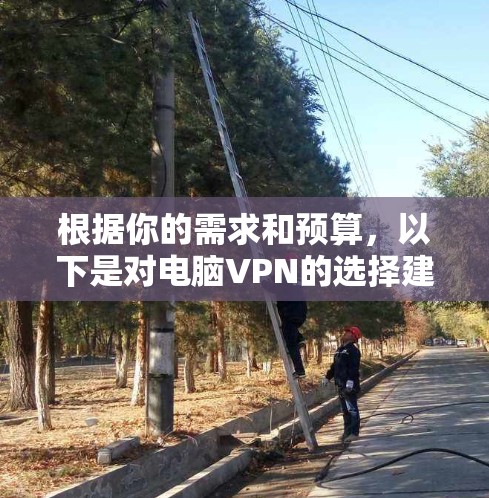 根据你的需求和预算，以下是对电脑VPN的选择建议