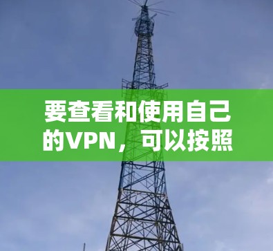 要查看和使用自己的VPN，可以按照以下步骤操作