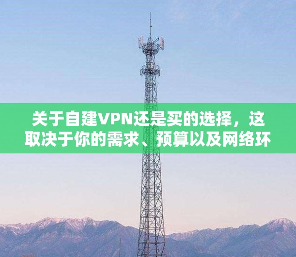 关于自建VPN还是买的选择，这取决于你的需求、预算以及网络环境。以下是一些考虑因素
