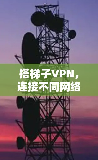 搭梯子VPN，连接不同网络的高效解决方案