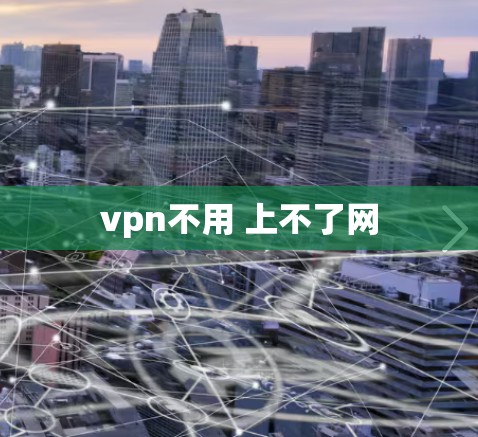vpn不用 上不了网