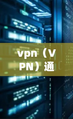 vpn（VPN）通常指的是一种通过特定协议将用户连接到外部网络的服务。这些服务需要一定的费用来提供实时或安全的网络连接。例如