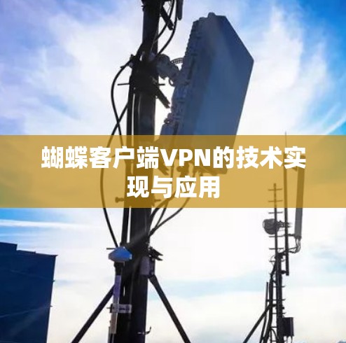 蝴蝶客户端VPN的技术实现与应用