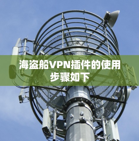 海盗船VPN插件的使用步骤如下