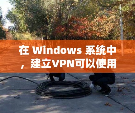 在 Windows 系统中，建立VPN可以使用多种软件或应用来实现。以下是一些常用VPN工具和步骤，帮助你建立VPN