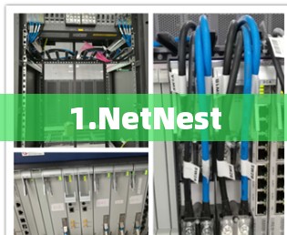 1.NetNest