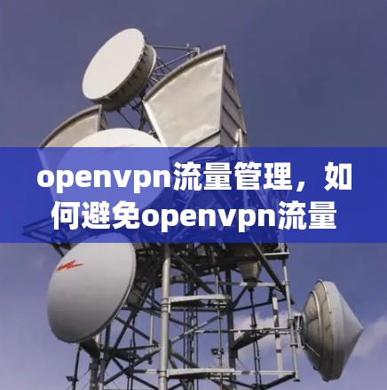 openvpn流量管理，如何避免openvpn流量被截获