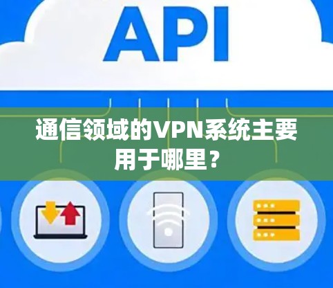 通信领域的VPN系统主要用于哪里？