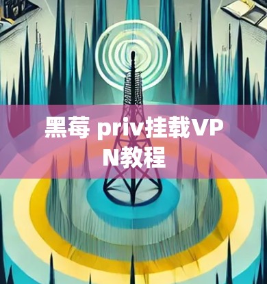 黑莓 priv挂载VPN教程