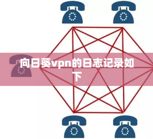向日葵vpn的日志记录如下