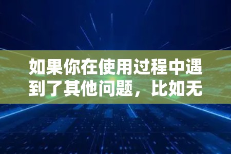 如果你在使用过程中遇到了其他问题，比如无法连接网络或游戏无法正常运行，可以尝试以下方法