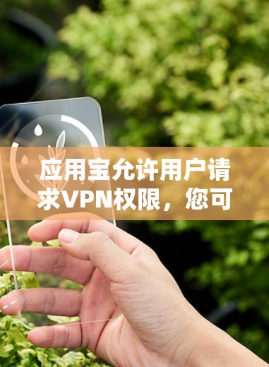 应用宝允许用户请求VPN权限，您可以按照以下步骤操作