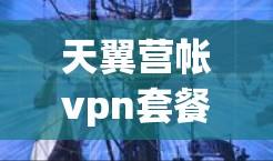 天翼营帐vpn套餐，提升通信质量的优质选择