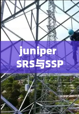 juniper SRS与SSP WPA的对比与应用分析