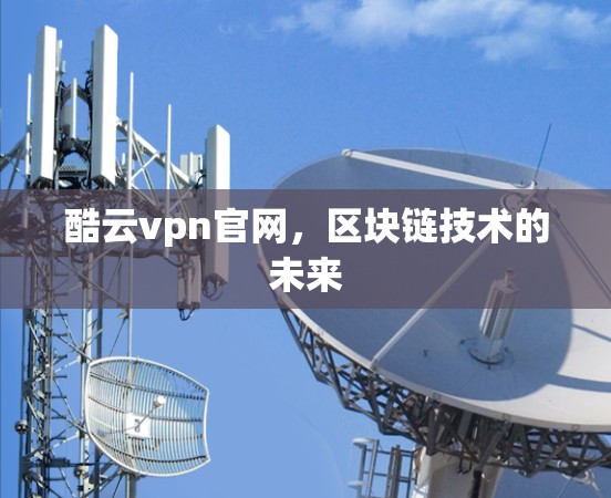 酷云vpn官网，区块链技术的未来