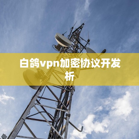 白鸽vpn加密协议开发析