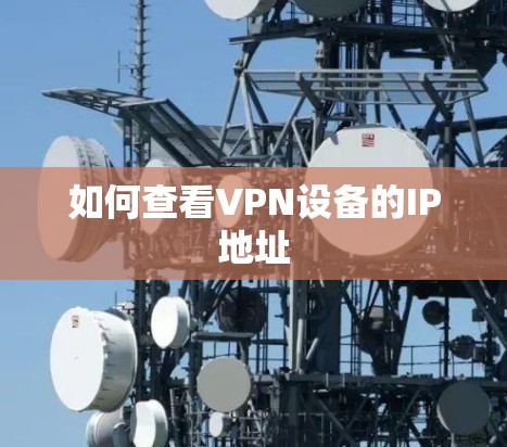 如何查看VPN设备的IP地址