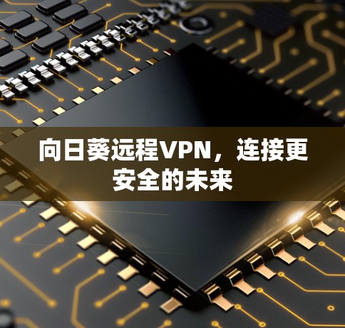 向日葵远程VPN，连接更安全的未来