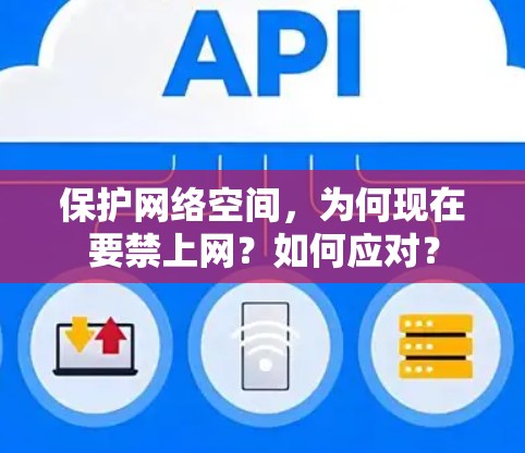 保护网络空间，为何现在要禁上网？如何应对？