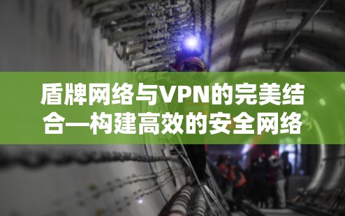 盾牌网络与VPN的完美结合—构建高效的安全网络