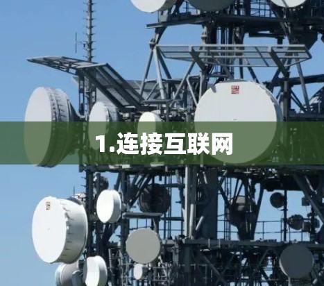 1.连接互联网