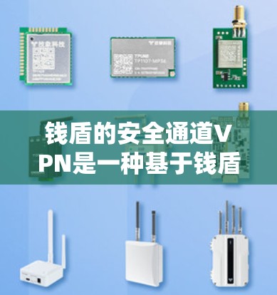 钱盾的安全通道VPN是一种基于钱盾专业VPN解决方案的产品，旨在为用户提供安全、可靠和个性化的VPN服务。以下是关于该服务的详细解析