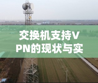 交换机支持VPN的现状与实现