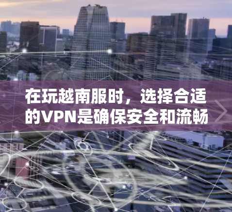 在玩越南服时，选择合适的VPN是确保安全和流畅体验的关键。以下是详细的步骤指南