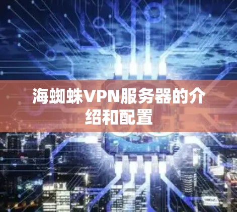 海蜘蛛VPN服务器的介绍和配置