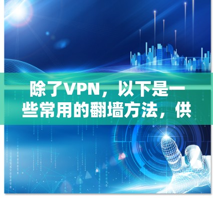 除了VPN，以下是一些常用的翻墙方法，供你参考