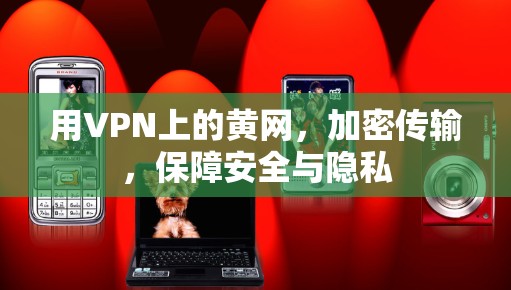 用VPN上的黄网，加密传输，保障安全与隐私