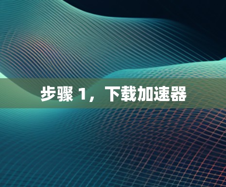 步骤 1，下载加速器
