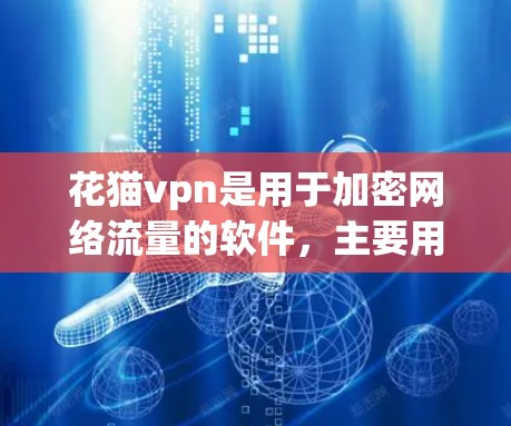 花猫vpn是用于加密网络流量的软件，主要用于保护用户和网络设备的安全。如果你想使用花猫vpn，但不确定如何获取手机，可以按照以下步骤操作