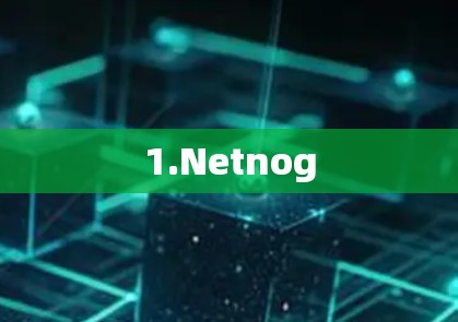 1.Netnog
