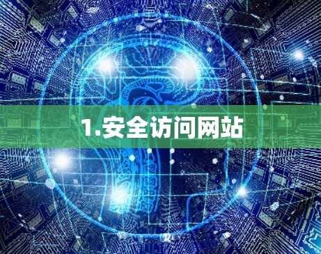 1.安全访问网站